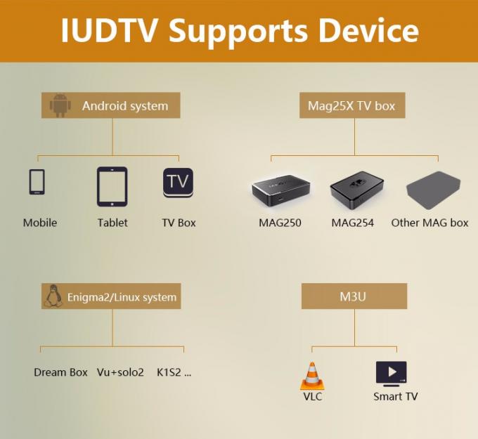 IUDTV IPTV Subscription 10 Pieces and Each for 1 Year offer reseller Control panel