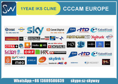 1pcs wholesale iks cccam cline account server for Europe channels experience a free trial for one day