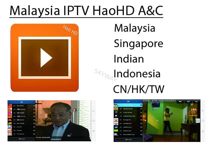 Wholesale Malaysia IPTV HAOHD IPTV Malaysia Singapore Live Channel Subscription For android TV BOX