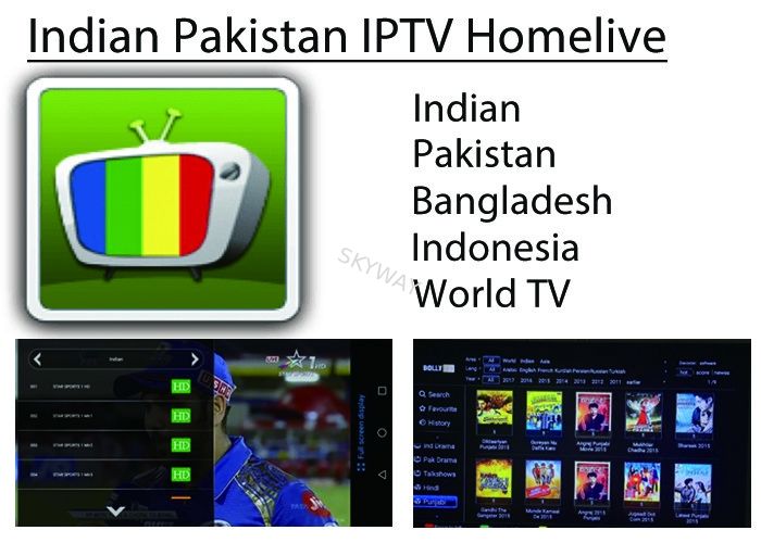 Wholesale Indian Pakistan IPTV Homelive apk iptv