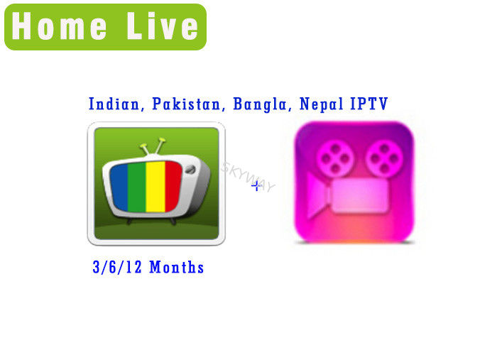 Homelive apk iptv Indian Pakistan Bangla Nepal iptv with Bolly-tube VOD movie stable for android tv box