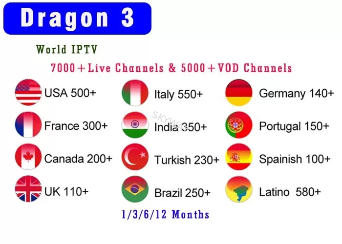 Brazil Iptv Smart Tv 7000+Live & 2000+VOD Europe IPTV Channels Iptv Subscription Great Bee Arabic Iptv Htv Rtv Box